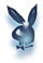 Bunny-klein