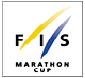 ESM-FIS-Logo