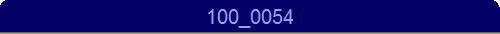 100_0054