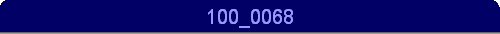 100_0068