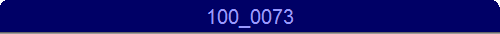 100_0073