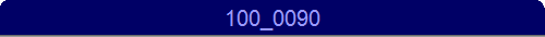 100_0090