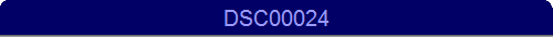 DSC00024