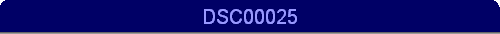 DSC00025