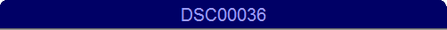 DSC00036
