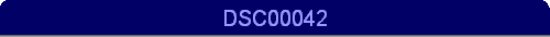 DSC00042