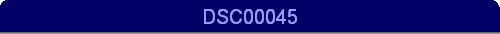 DSC00045