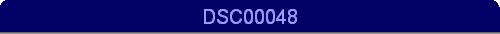 DSC00048