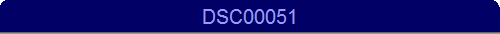 DSC00051