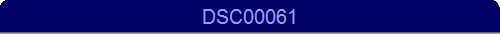 DSC00061