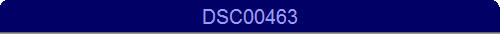 DSC00463