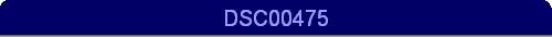 DSC00475