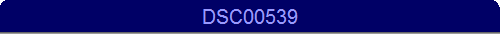 DSC00539