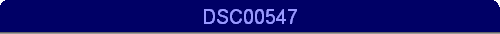 DSC00547