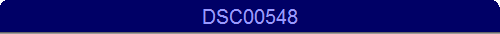 DSC00548