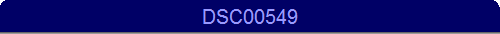 DSC00549