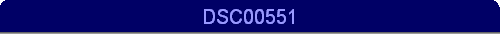 DSC00551