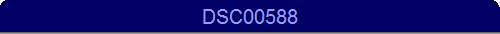 DSC00588