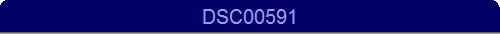 DSC00591