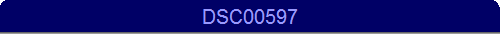 DSC00597
