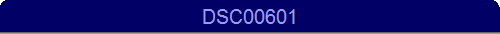 DSC00601