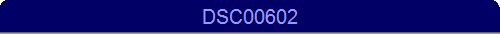 DSC00602