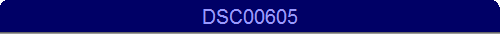 DSC00605