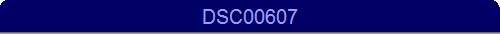 DSC00607