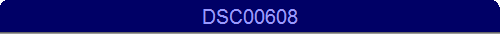 DSC00608