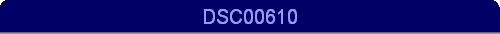 DSC00610