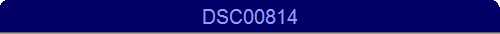DSC00814