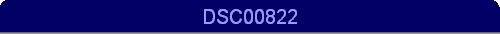 DSC00822