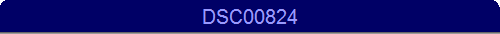 DSC00824