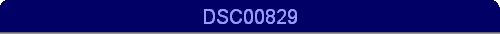 DSC00829