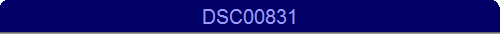 DSC00831