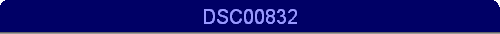 DSC00832