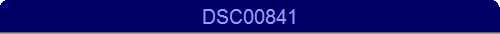 DSC00841