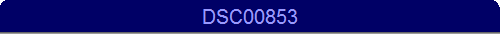 DSC00853