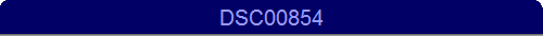 DSC00854