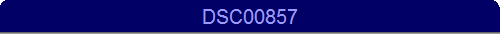 DSC00857