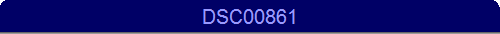 DSC00861