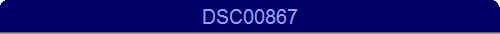 DSC00867