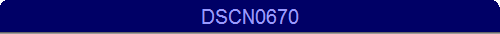 DSCN0670