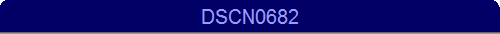 DSCN0682