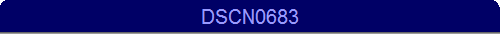 DSCN0683