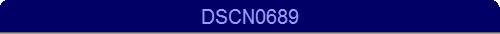 DSCN0689