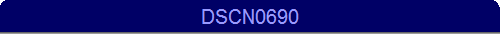 DSCN0690