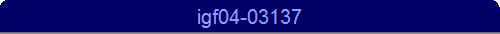 igf04-03137