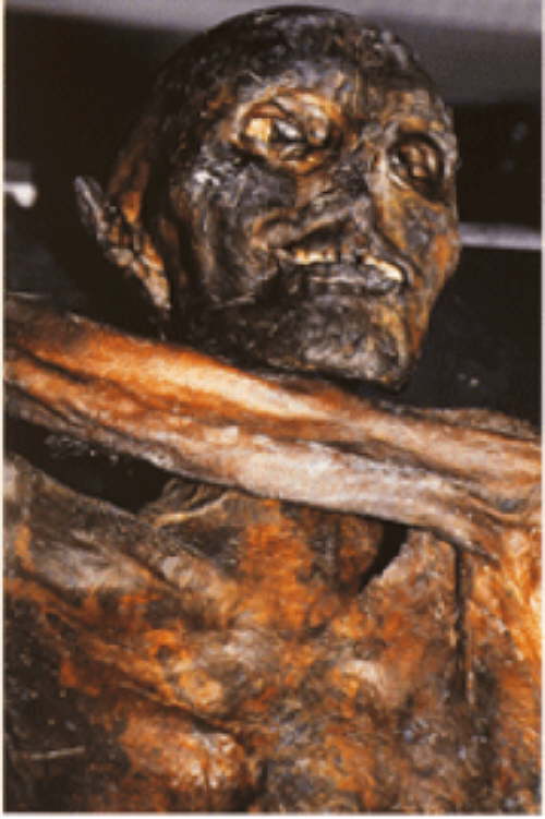 Heute geht es Ihm nicht mehr so gut.